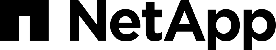 NetApp logo used since 2020